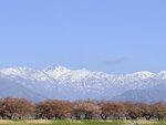 IMG_3232