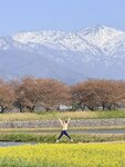 IMG_3238