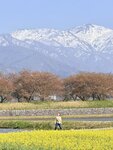 IMG_3239