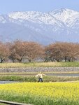 IMG_3252