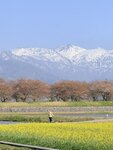 IMG_3272