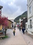 IMG_3306
