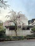 IMG_3343