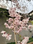 IMG_3344