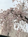 IMG_3345