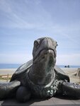 IMG_20260417_102146
