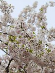 IMG_20260417_115245