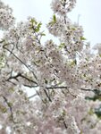 IMG_20260417_115319