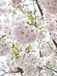 IMG_20260417_115353
