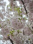 IMG_20260417_115413