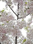 IMG_20260417_115431