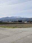 IMG_3391