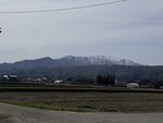 IMG_3393