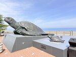 IMG_3397
