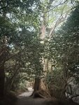 IMG_3558