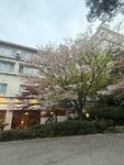IMG_3561