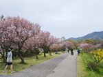 IMG_20260418_095438