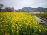 IMG_20260418_095838