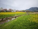 IMG_20260418_095918