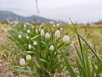 IMG_20260418_100705