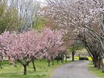 IMG_20260418_101602