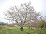 IMG_20260418_101742