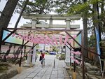 IMG_20260418_110928