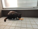 IMG_20260418_202033