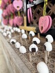 IMG_3643
