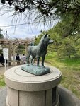 IMG_3651