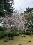 IMG_3652