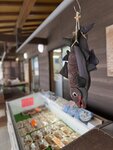 IMG_3730