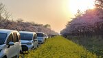20260419_173913