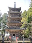IMG_20260419_093144