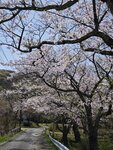 IMG_20260419_111137