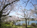 IMG_20260419_111343