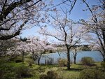 IMG_20260419_111350