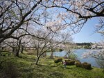 IMG_20260419_111438