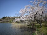 IMG_20260419_111541