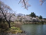 IMG_20260419_111627