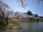 IMG_20260419_111631