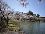 IMG_20260419_111634