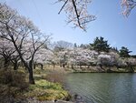 IMG_20260419_111640