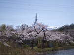 IMG_20260419_112343