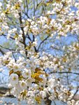 IMG_20260419_112500
