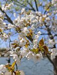 IMG_20260419_112521