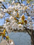 IMG_20260419_112525