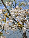 IMG_20260419_112535