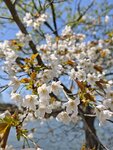 IMG_20260419_112539