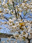 IMG_20260419_112557